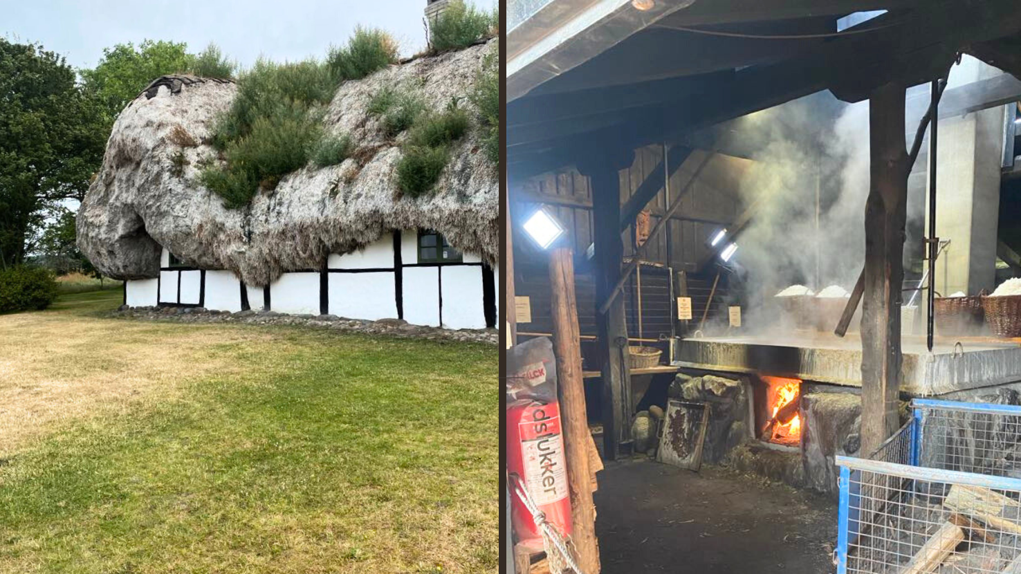 Tur til Læsø - Jammerbugt Kommunenetværk